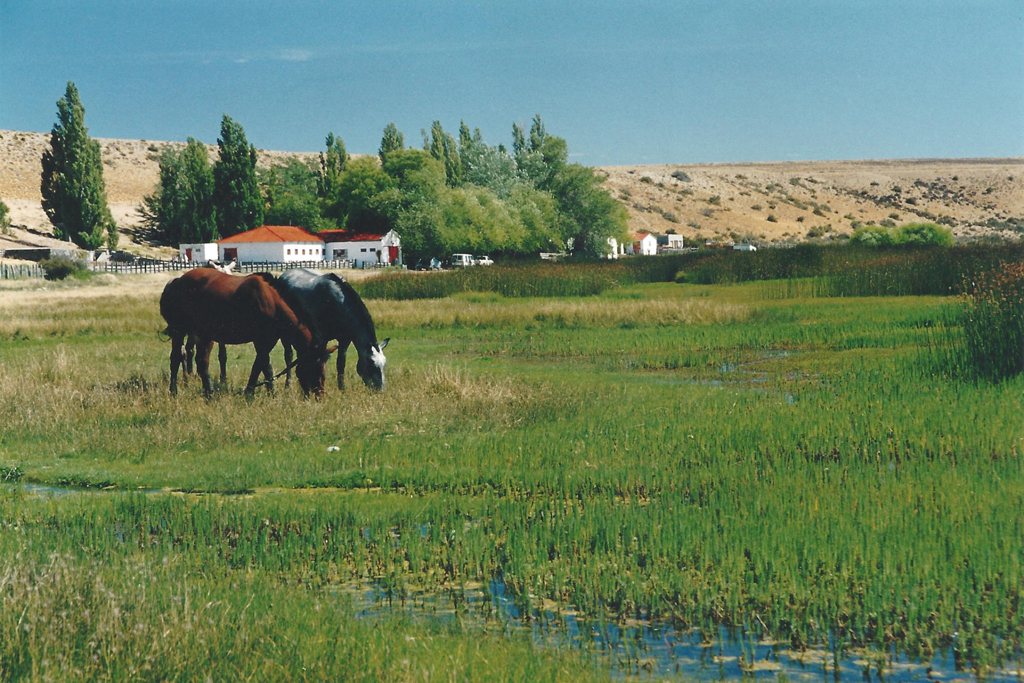 Estancias Turísticas